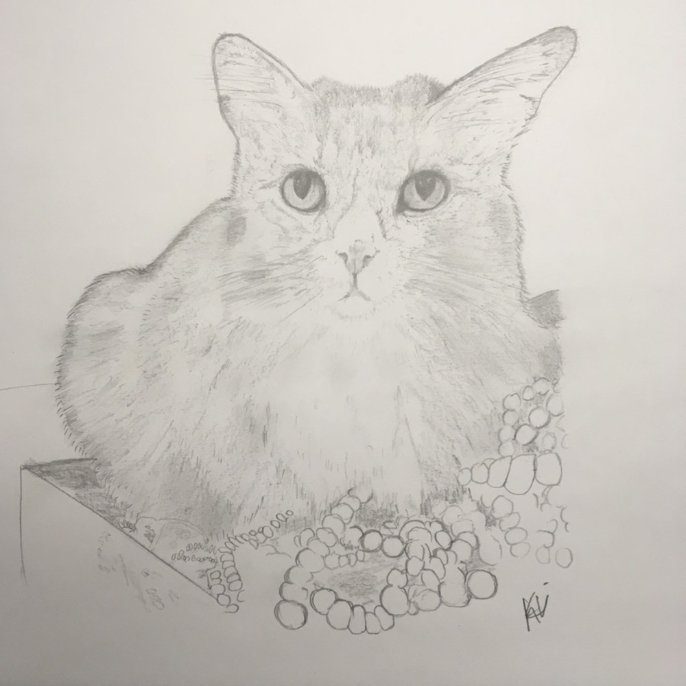 The Protector of Pearls